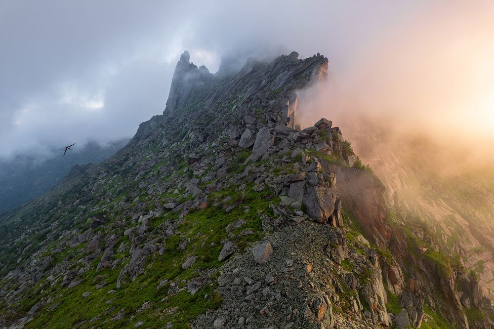 Photograph by Александр Нерозя