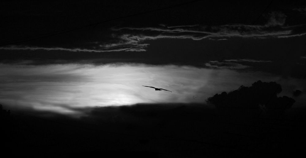 Photograph by Priyanka Modh Photography