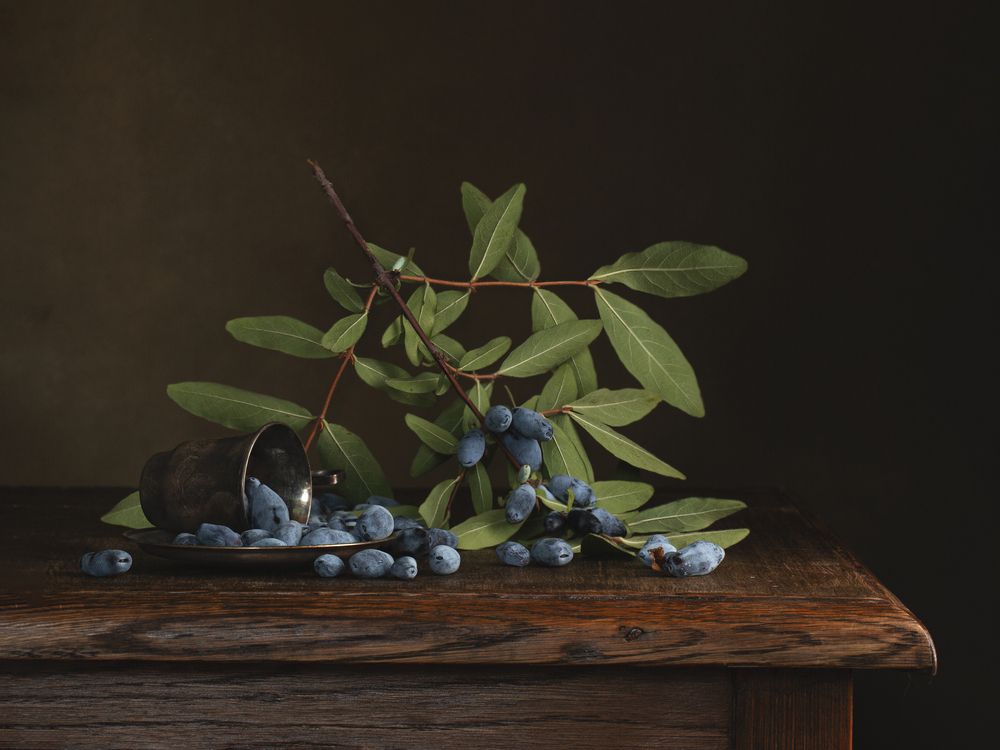 Photograph by Елена Бородина