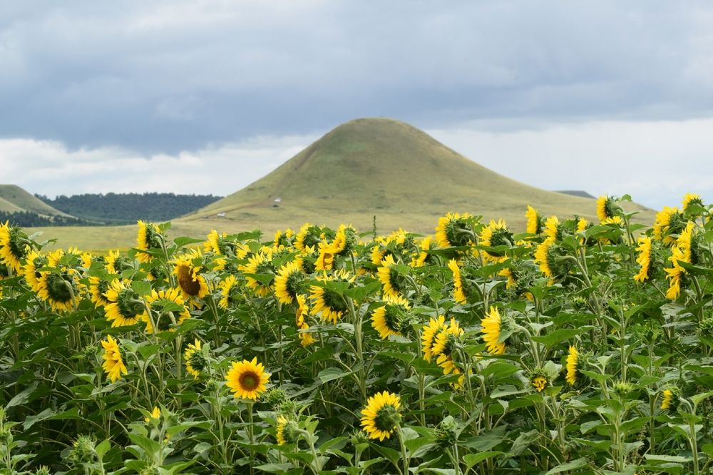 Photograph by Альбина Рамилевна