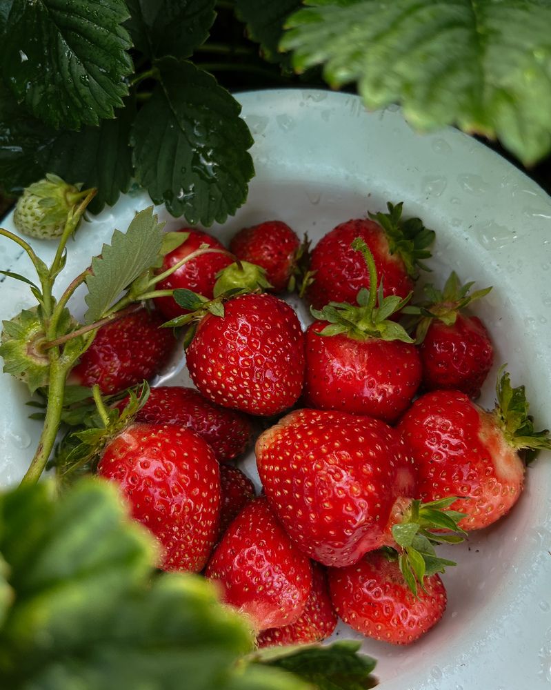 Photograph by Tatyana Remizova