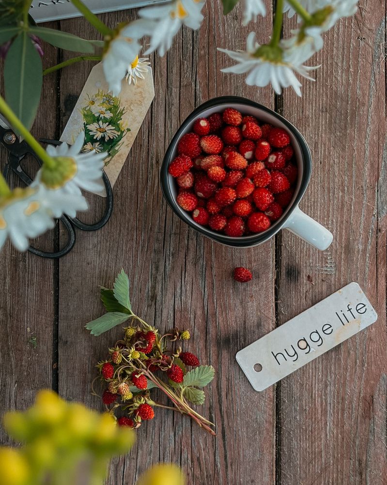 Photograph by Tatyana Remizova