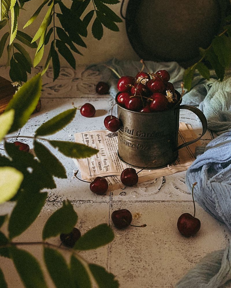 Photograph by Tatyana Remizova