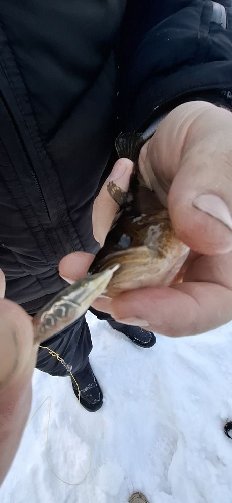 Photograph by Наталья Пирогова