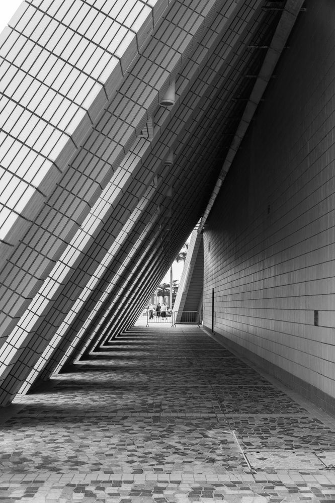 Photograph by Samuel Chan