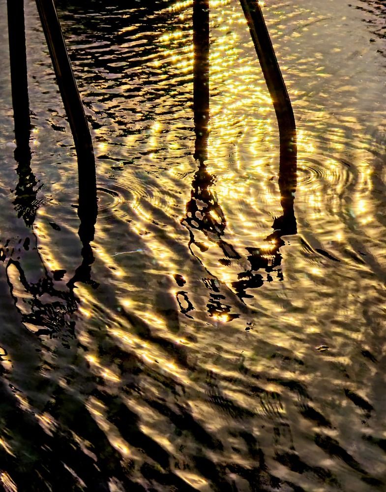 Photograph by Bryan Lee