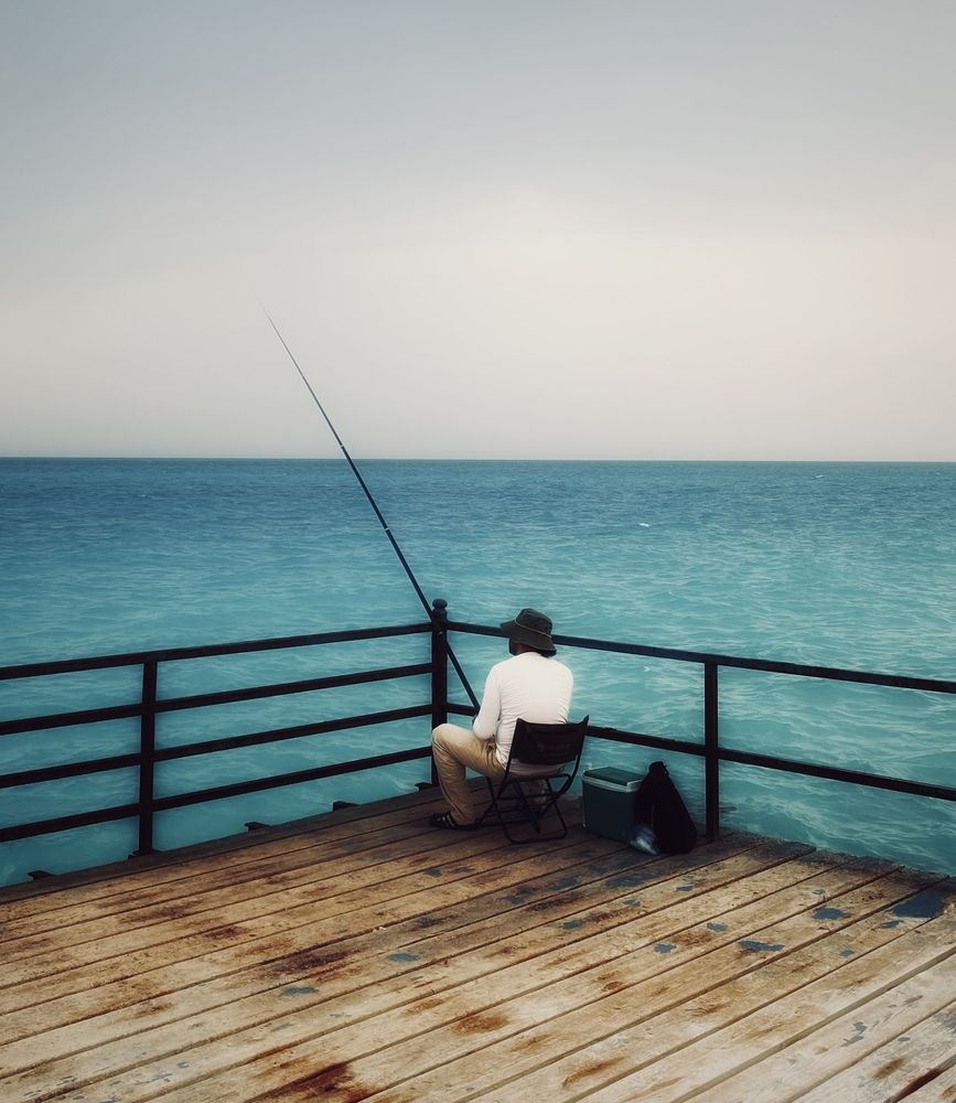 Photograph by Basma rashwan