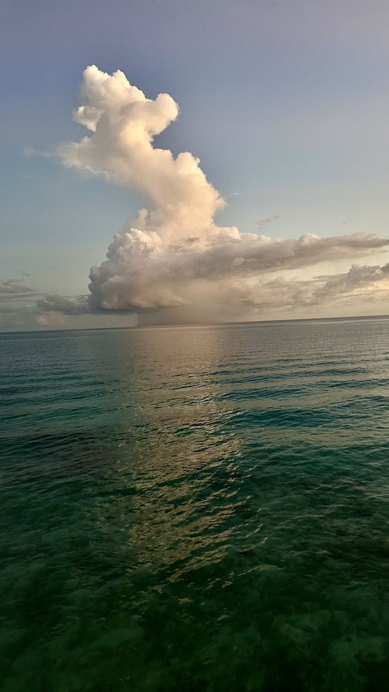 Photograph by Елена Горчакова