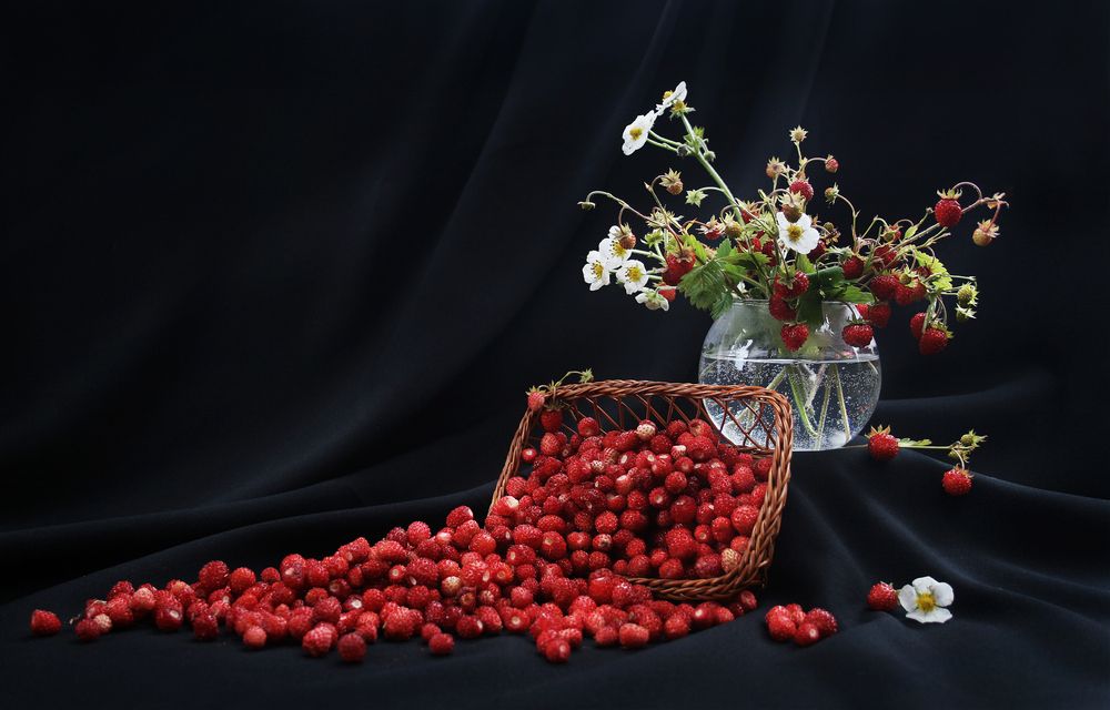 Фотография автора Inga Ivanova