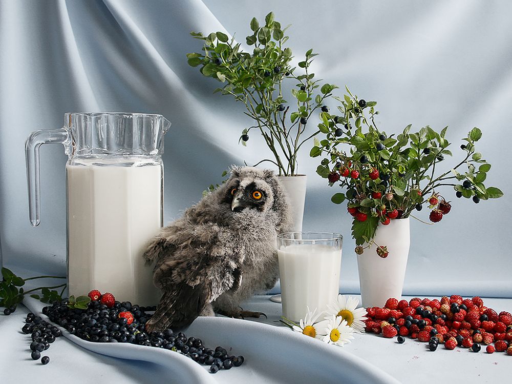 Фотография автора Inga Ivanova