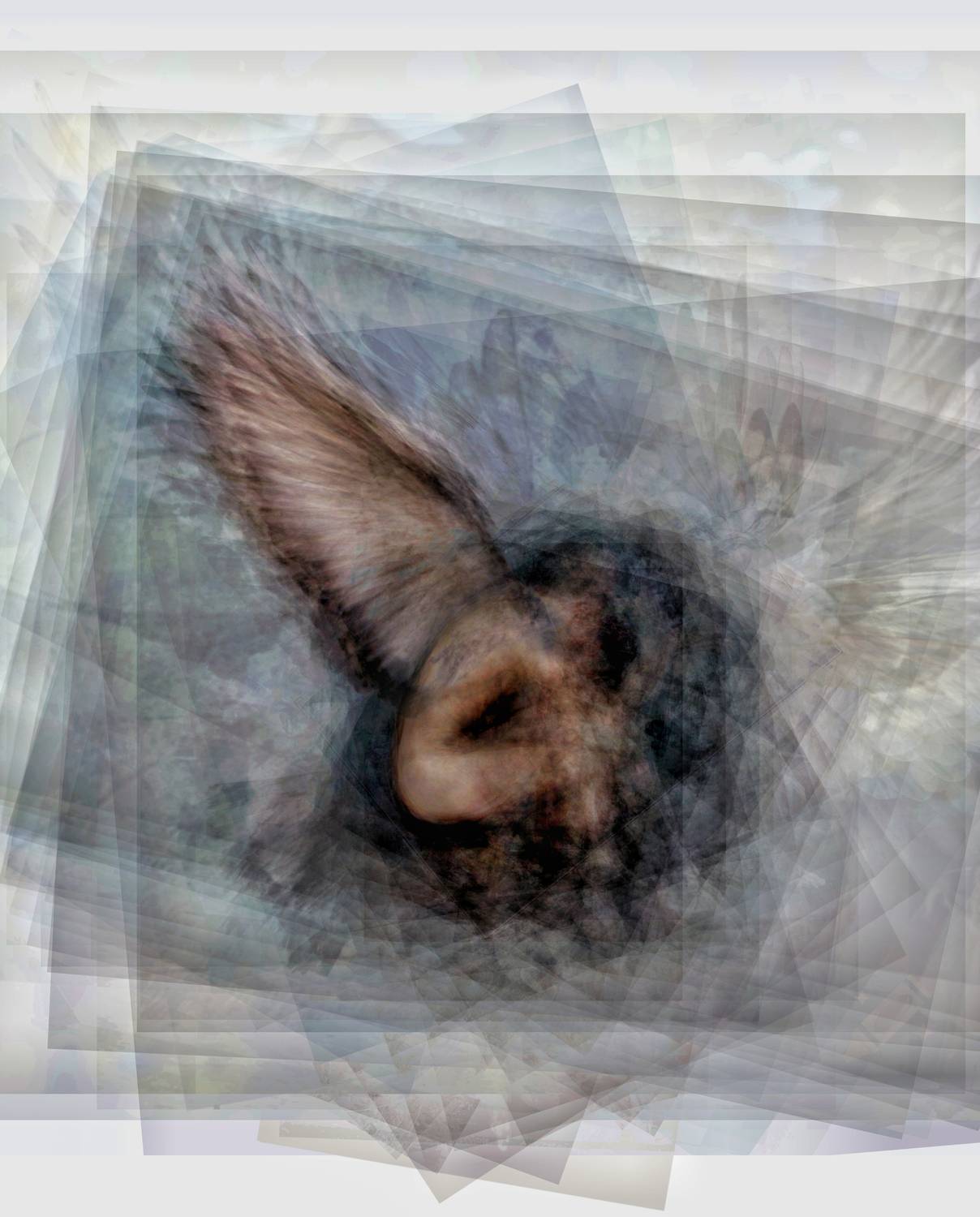 Фотография #12401387