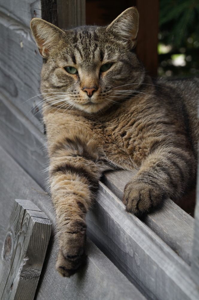 Photograph by Светлана