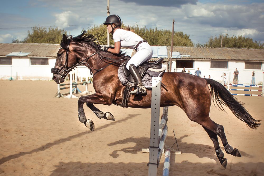 Photograph by Виктор Карпухин