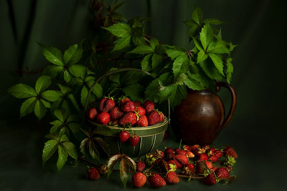 Photograph by Елена Куртеева