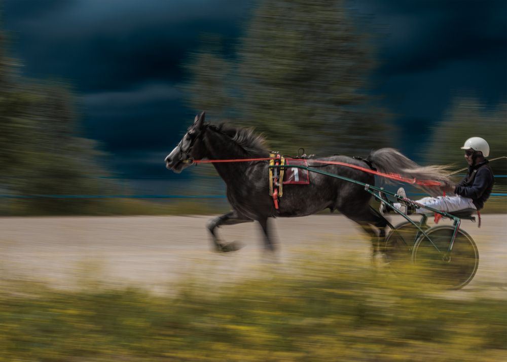 Photograph by Любовь Похабова