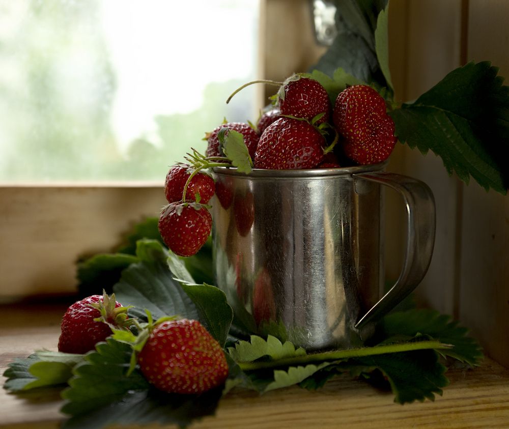 Photograph by Елена Куртеева