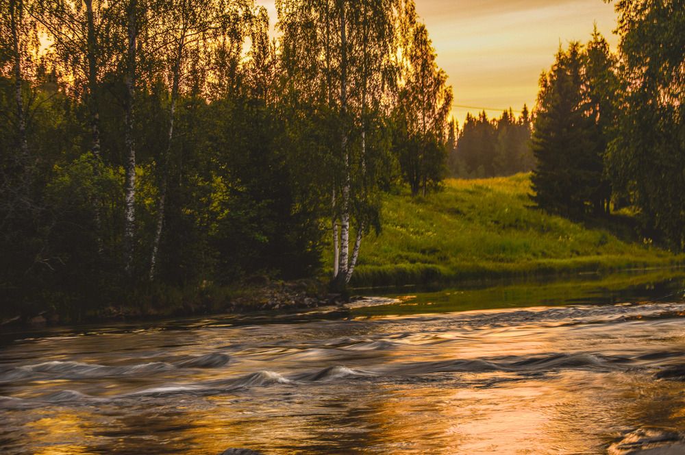 Photograph by Галина Дорофеева