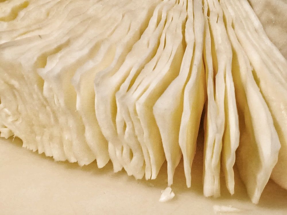 Фотография автора Вероника Пунгина