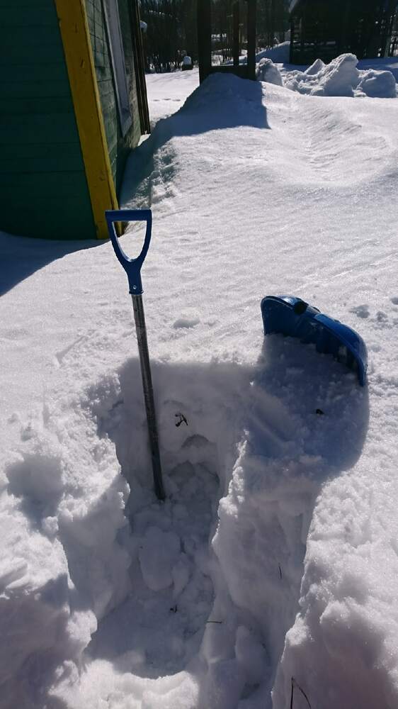 Фотография автора Вероника Пунгина