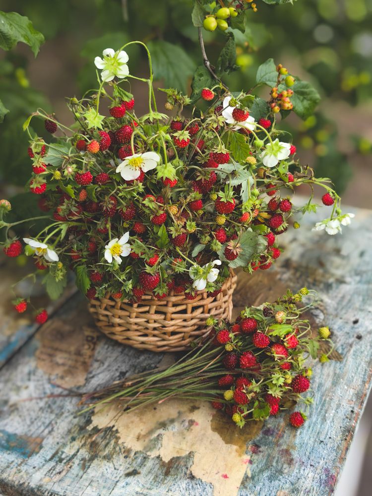 Photograph by Наталья Балабанова