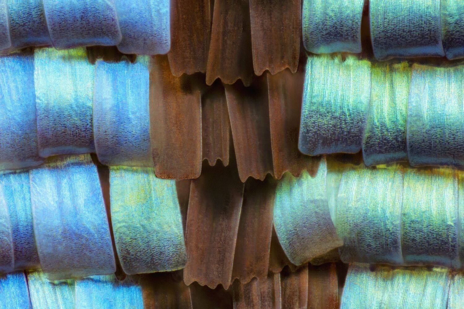 Фотография #12401688