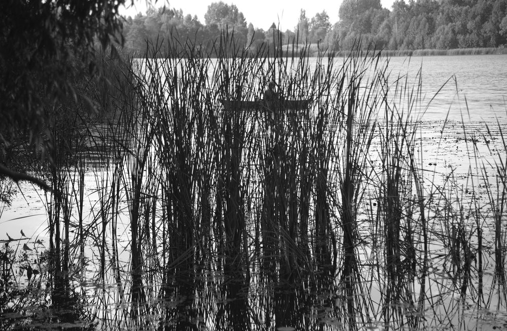 Плеск в тишине...