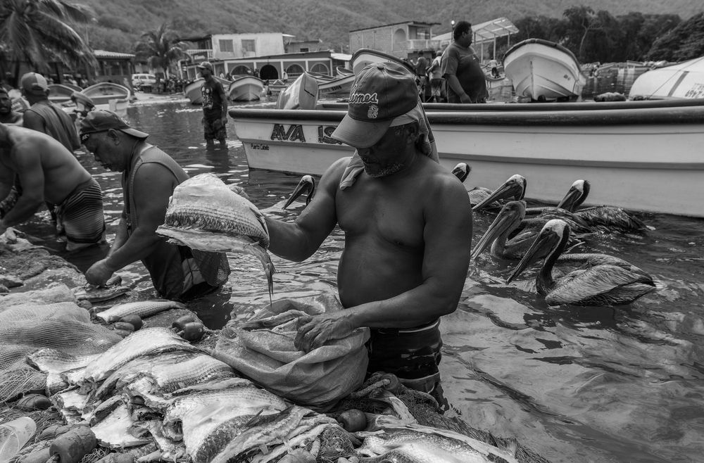 Photograph by Nicola Rocco