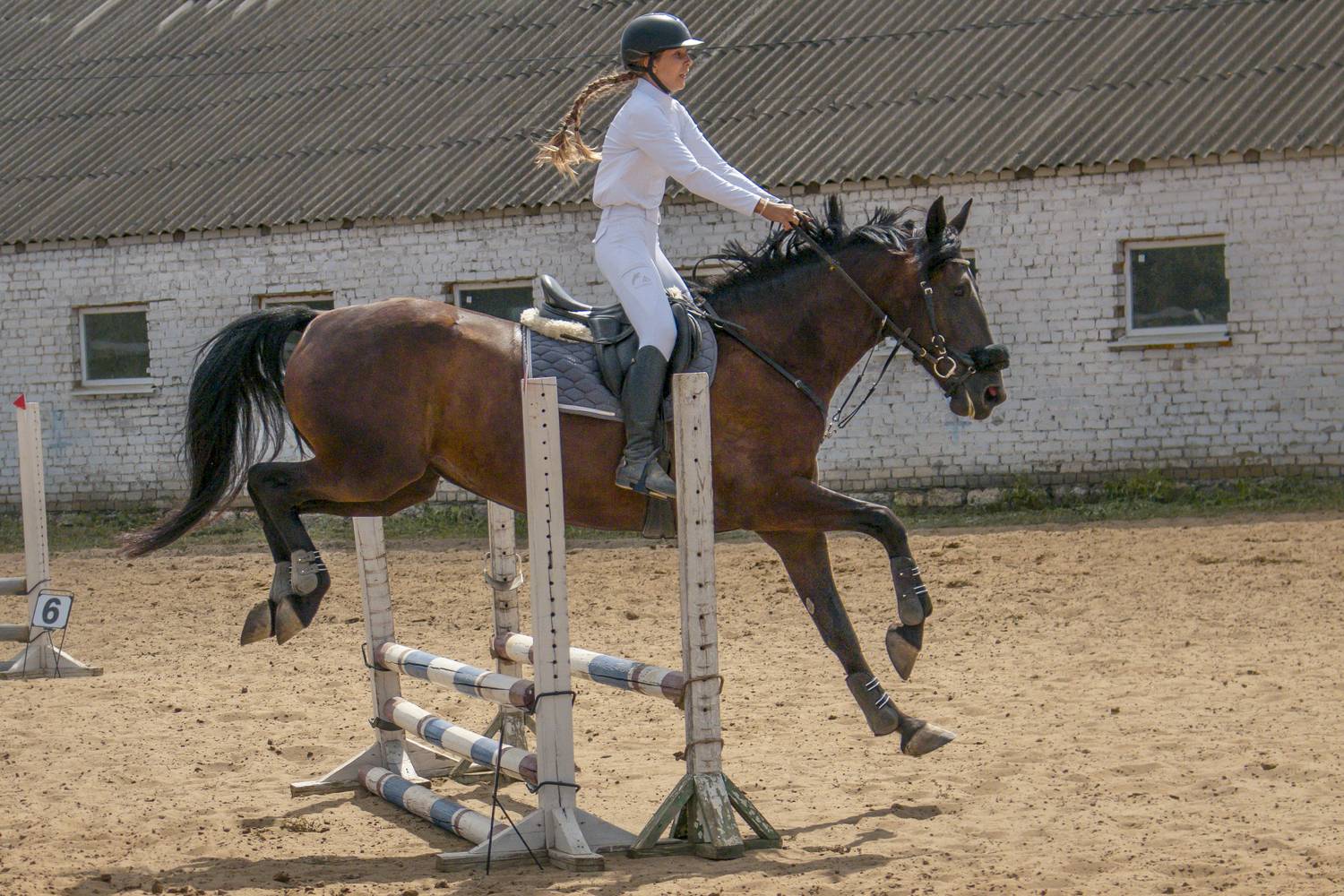 Фотография #12401791