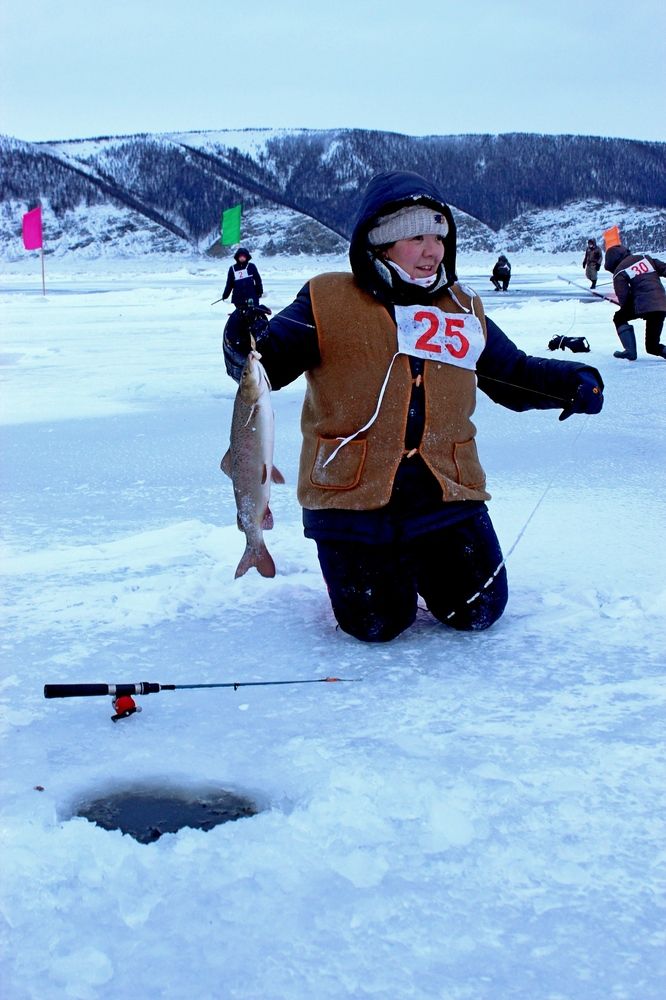 Photograph by Александр Велигура