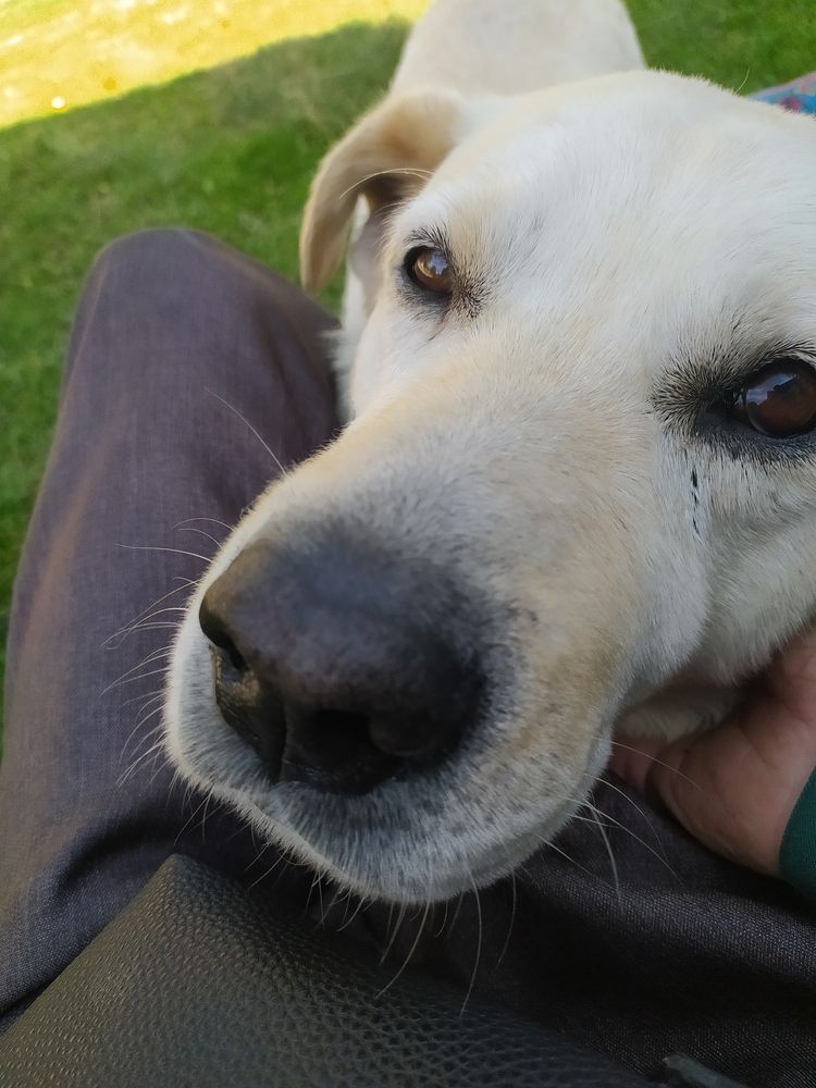 Photograph by Юрий Гордеев