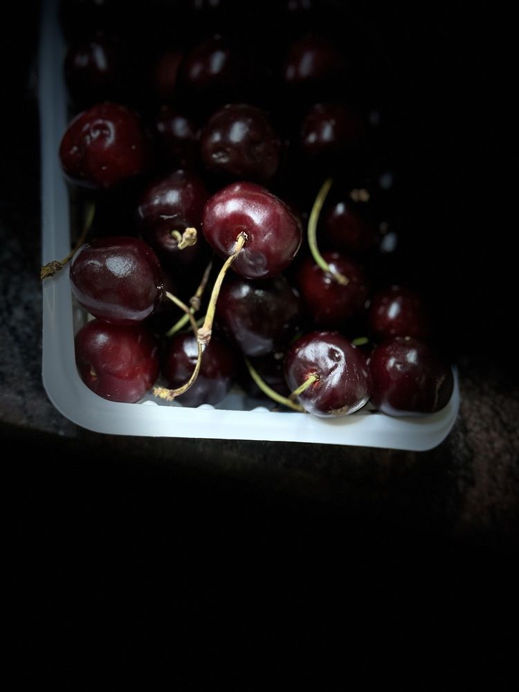 Photograph by Waleed Yousuf Alwahaibi