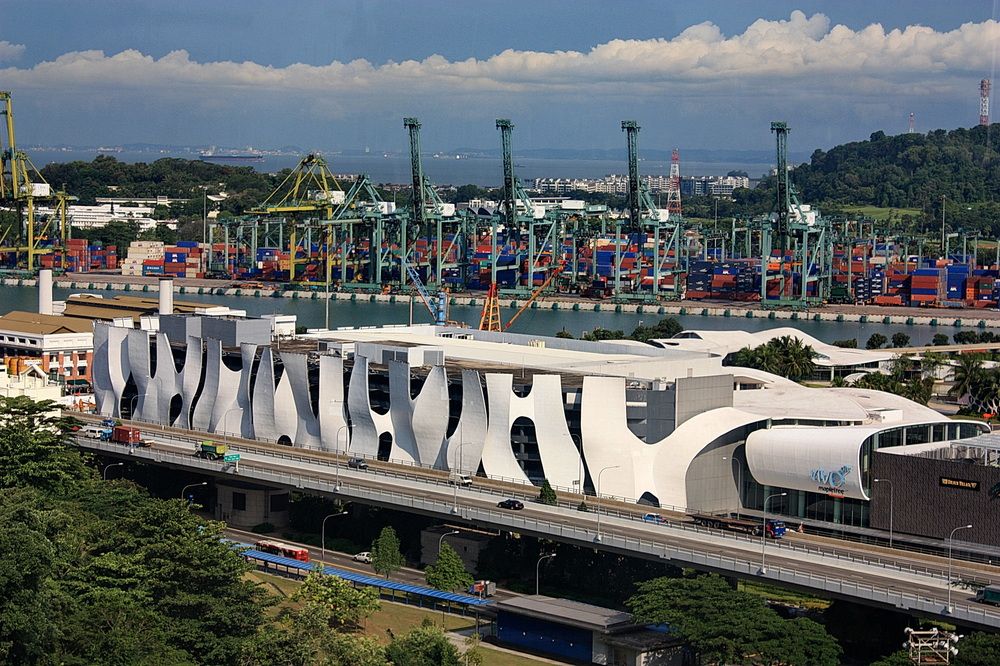 Фотография автора АЛЕКСАНДР ЦЫГЕЛЬНЮК