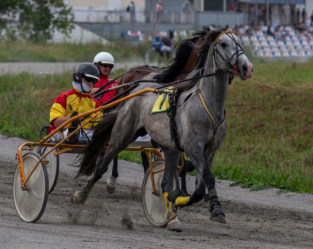 Photograph by Ольга Ченцова