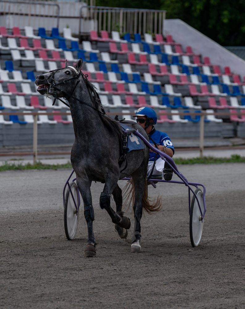 Photograph by Ольга Ченцова