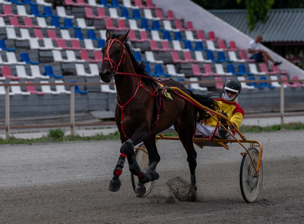 Photograph by Ольга Ченцова