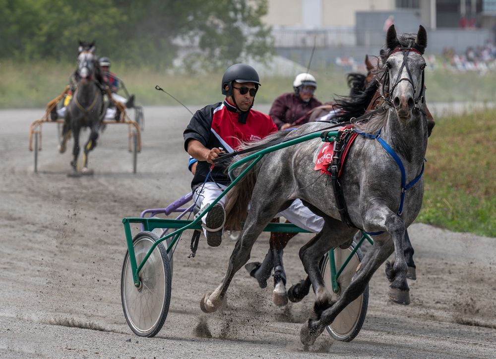 Photograph by Ольга Ченцова