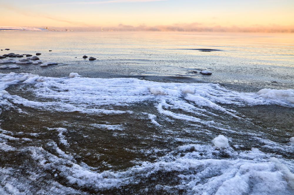 Фотография автора Антон Покровский