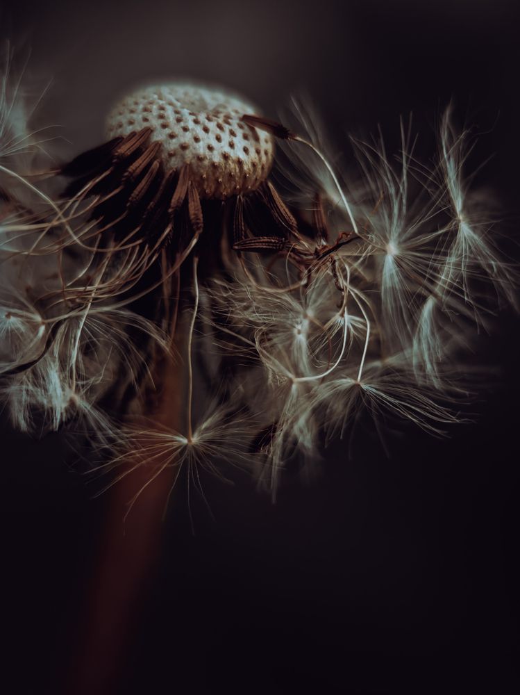 Photograph by Yuliya Karpova