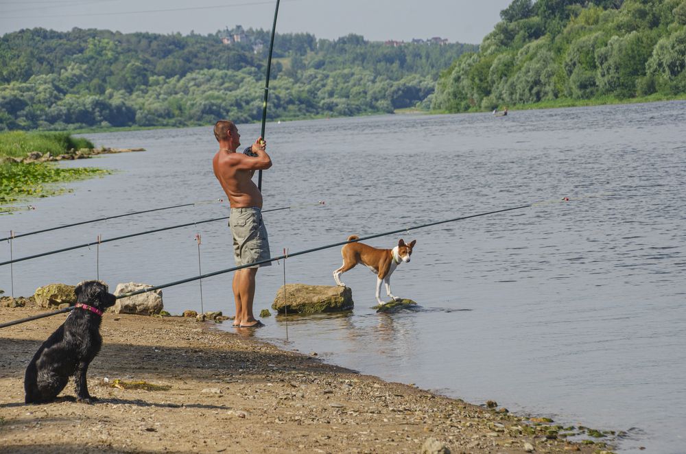 Photograph by Надежда Михайлина