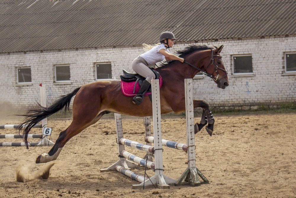 Photograph by Виктор Карпухин