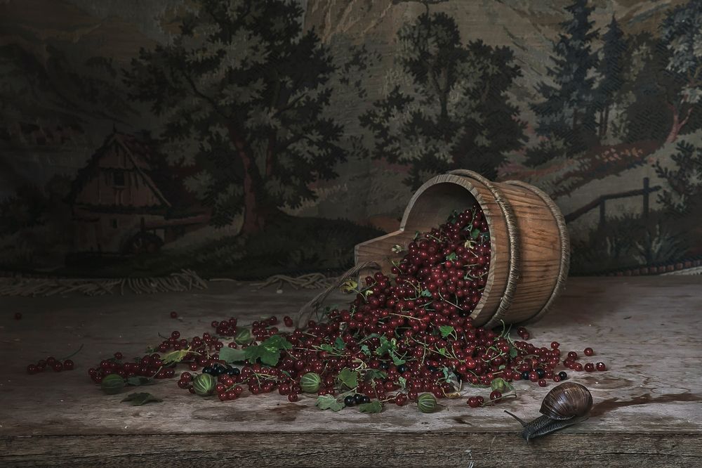 Photograph by Анна Петина