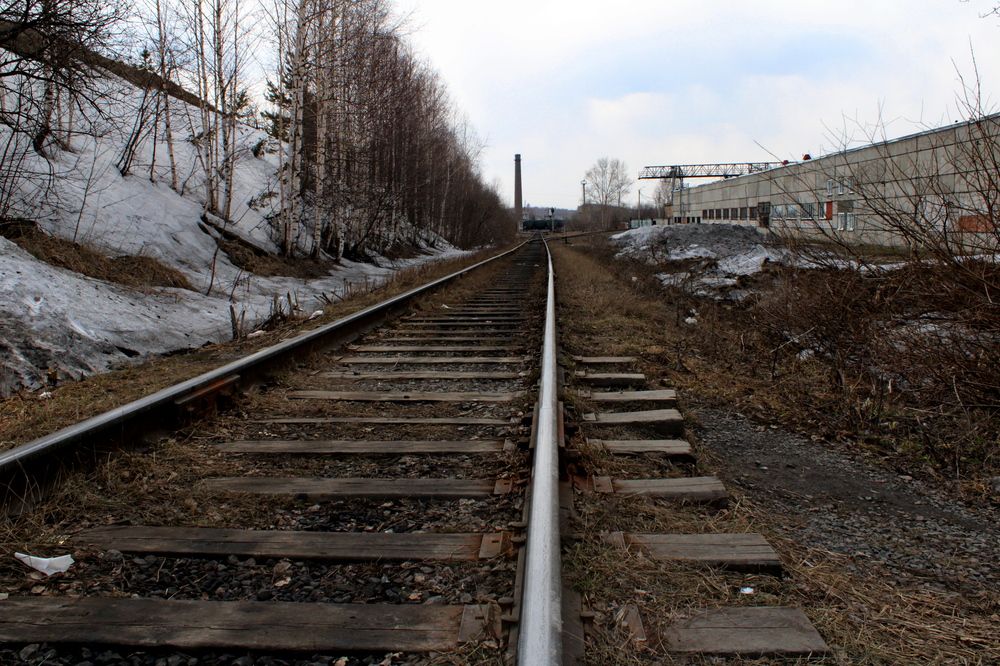 Photograph by Дмитрий Симагин