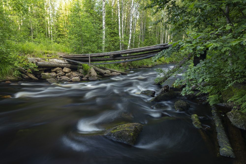 Photograph by Максим Григорьев