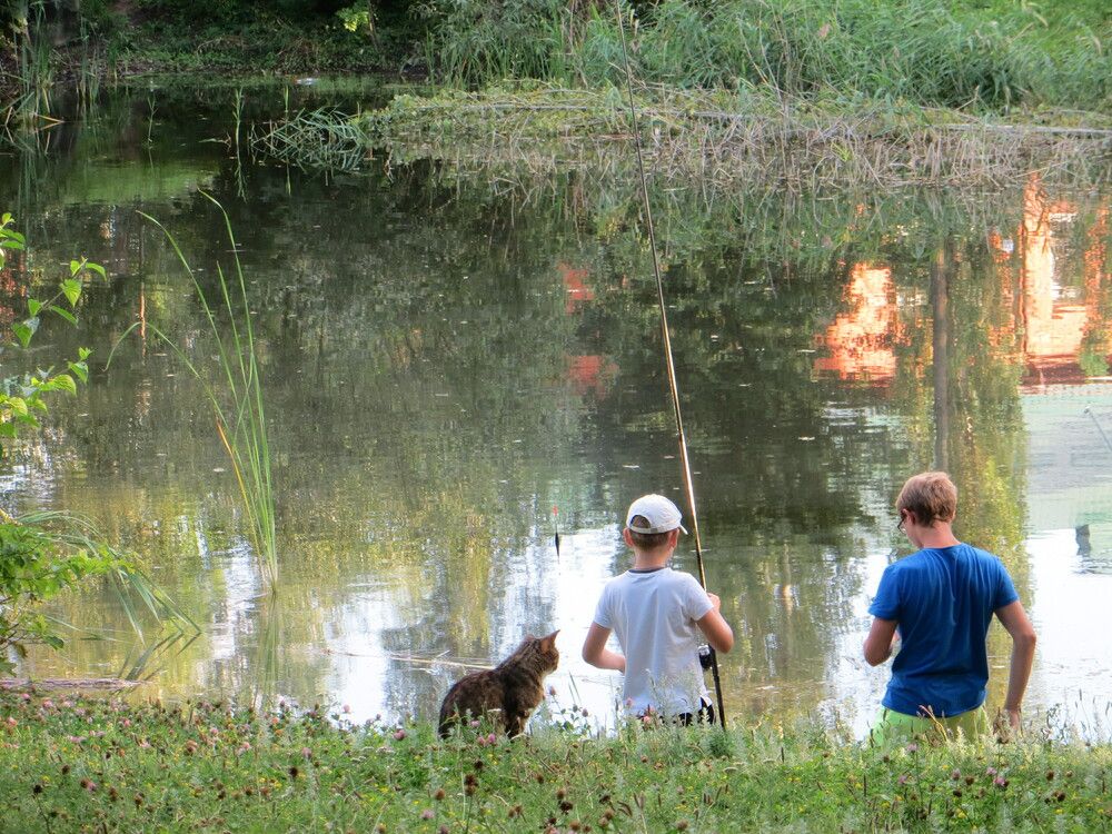 Photograph by Татьяна Поминова