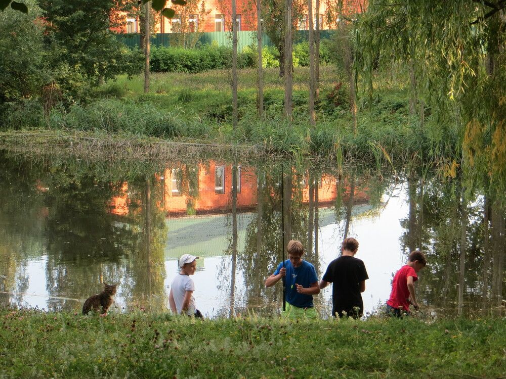 Photograph by Татьяна Поминова