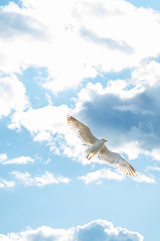 Photograph by Дана Трубиньш