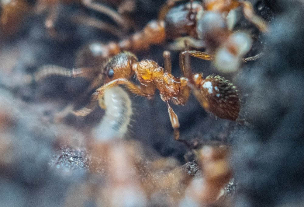 Photograph by Дмитрий Анисимов