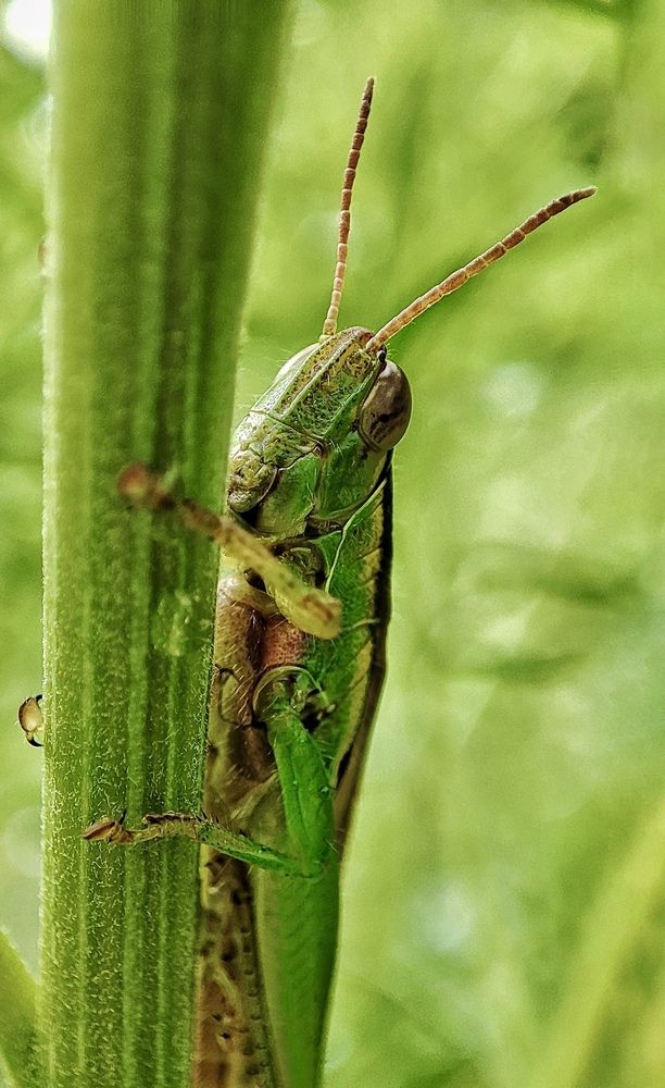 Photograph by Дина Желанова