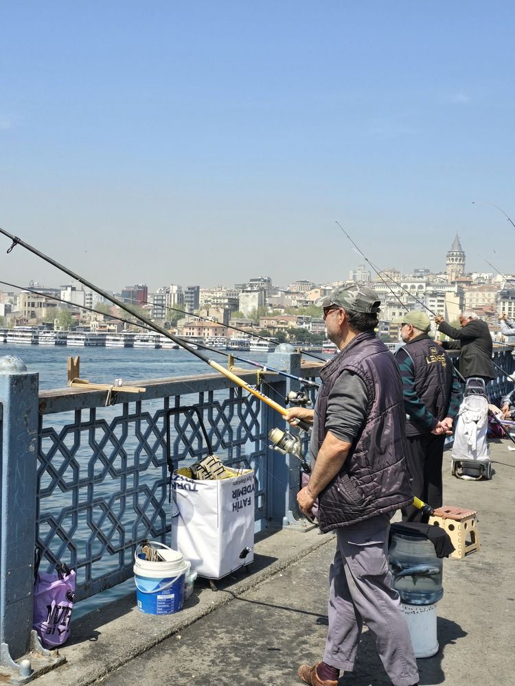 Photograph by Светлана