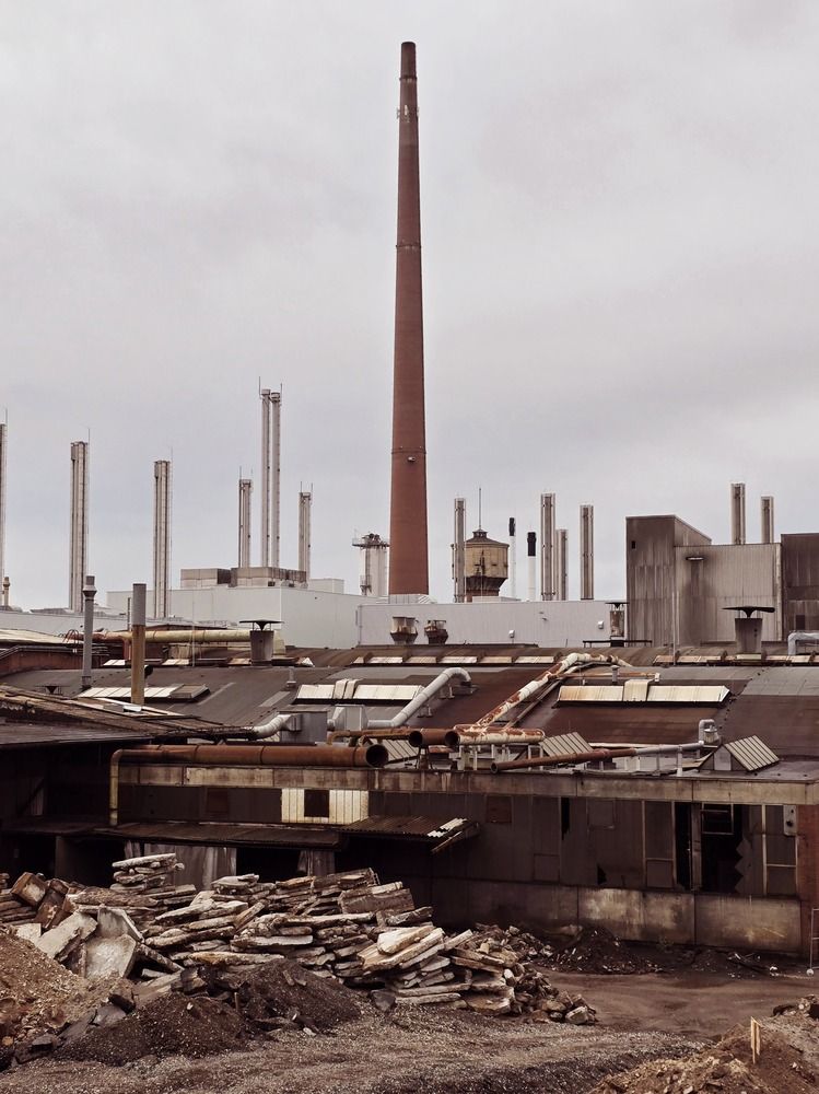 Photograph by Светлана